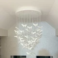 Люстра Cloyd из серии Tropica (арт.11531) в интерьере