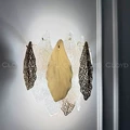 Бра Cloyd Senegal (арт.20110) в интерьере